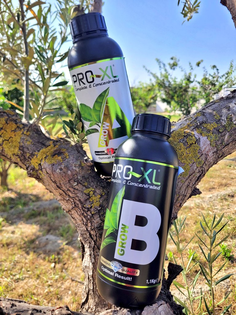 🌱 Grow A+B 🌱
Incrementa los resultados de tu cultivo. Fertilizante de calidad superior diseñado para la etapa de crecimiento. Contiene todos los nutrientes que necesita tu planta.
Plantas sanas, grandes y fuertes.
N.P.K.4-3-6
#HorticulturaProfesional #ProXL