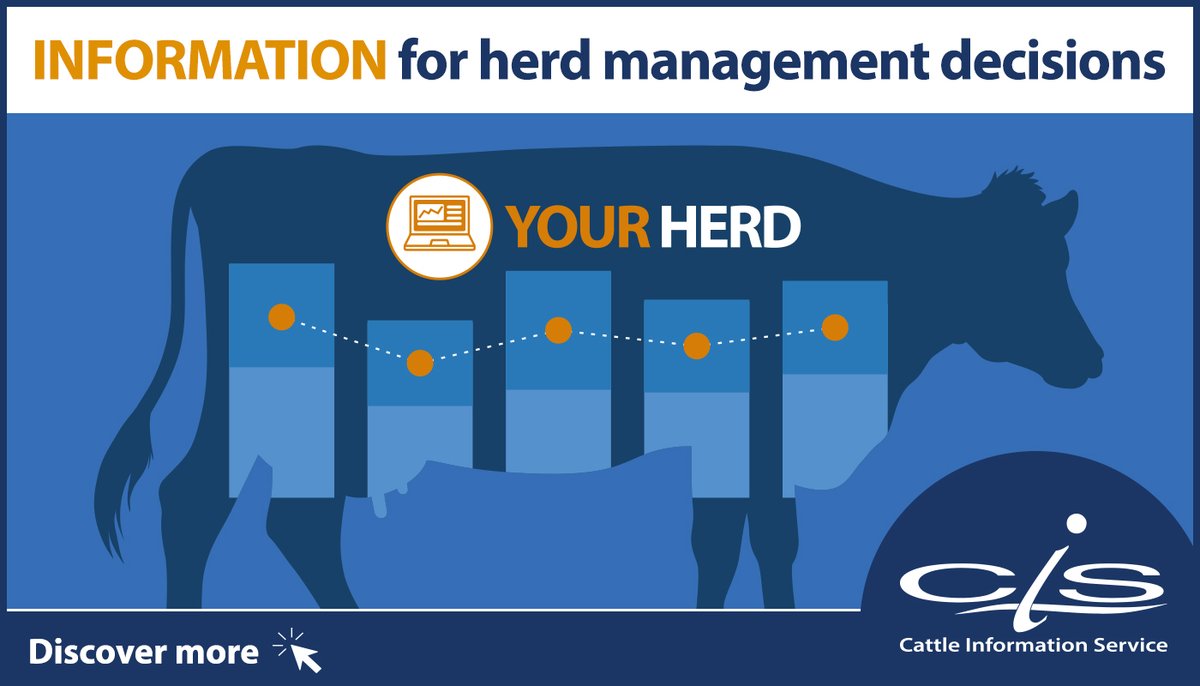 The information provided by our services enables you to view the complete picture of your herd as well as investigate individual cows to make essential management decisions to maximise the herd’s output and profit. thecis.co.uk/Services