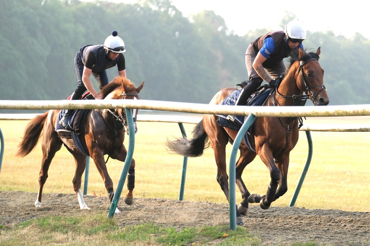 Akho Mezzna &amp; Nemesis Inferno stalls practise.