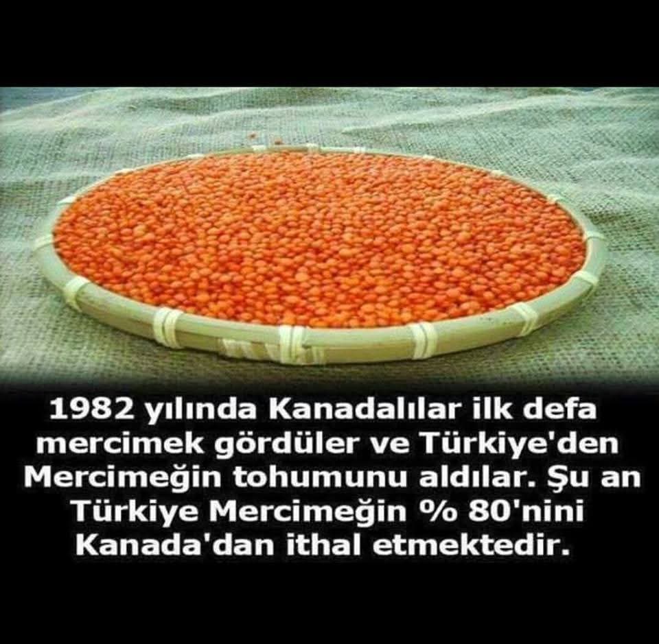 Burası tarım ülkesi... Peki ne eksik?... Acaba emanetleri ehline mi vermiyoruz?