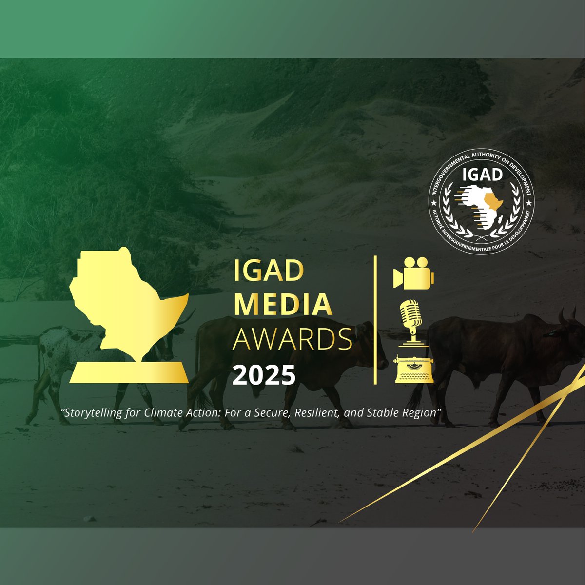 IGAD Secretariat (@igadsecretariat) on Twitter photo 🎓 Educating for Resilience | #IGADMediaAwards2025
Through <a href="/IGAD_STVS/">IGAD Sheikh Technical Veterinary School</a>, IGAD is equipping dryland communities with climate-smart education, training, and research. From rangeland management to agroforestry and veterinary innovation, this regional hub is turning knowledge into 🎓 Educating for Resilience | #IGADMediaAwards2025
Through <a href="/IGAD_STVS/">IGAD Sheikh Technical Veterinary School</a>, IGAD is equipping dryland communities with climate-smart education, training, and research. From rangeland management to agroforestry and veterinary innovation, this regional hub is turning knowledge into