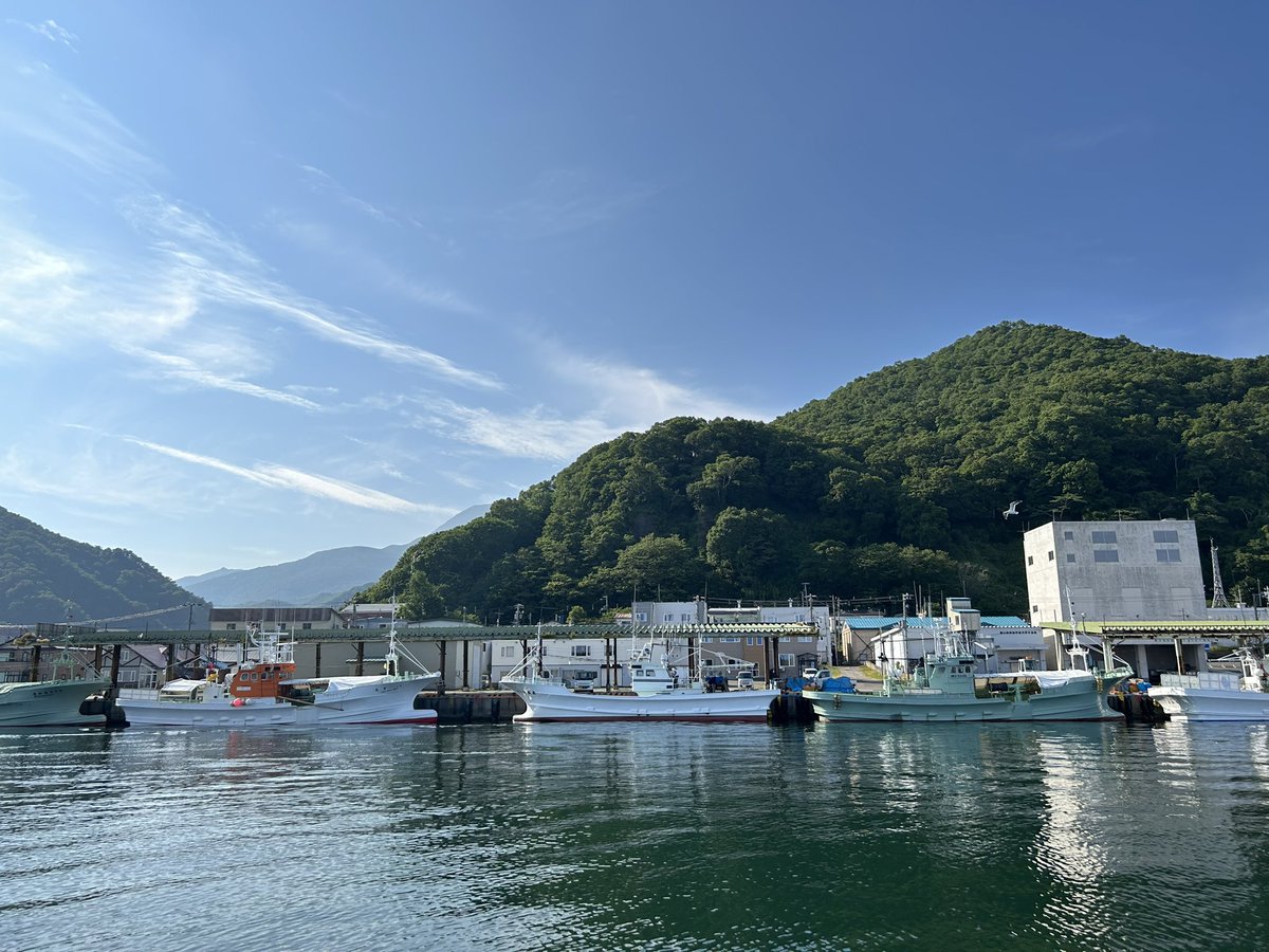 JunIsafushi24's tweet image. 知床・羅臼
3日間お世話になりました、郷土料理ひろ瀬様、民宿の方々、そして、知床ネイチャークルーズ・船長、スタッフの皆様。
たくさんの方々のおかげで忘れられない最高の旅となりました。
ありがとうの言葉だけじゃ済ませられないですが、
本当にありがとうございました😭
また必ず来ます👋