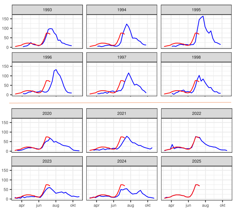 Is 2025 (red lines) a good butterfly year? Yes, on Dutch Butterfly Monitoring transects there are more butterflies than in 2023 and 2024. Numbers almost exactly equal 2022. But look at the 1990s. Compared to then it is a poor butterfly year. Shifting baselines!