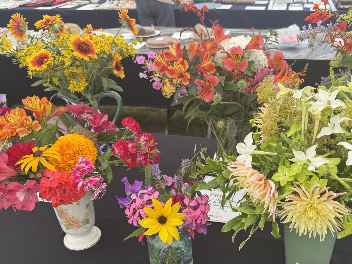 Debbie Chatting tweet media