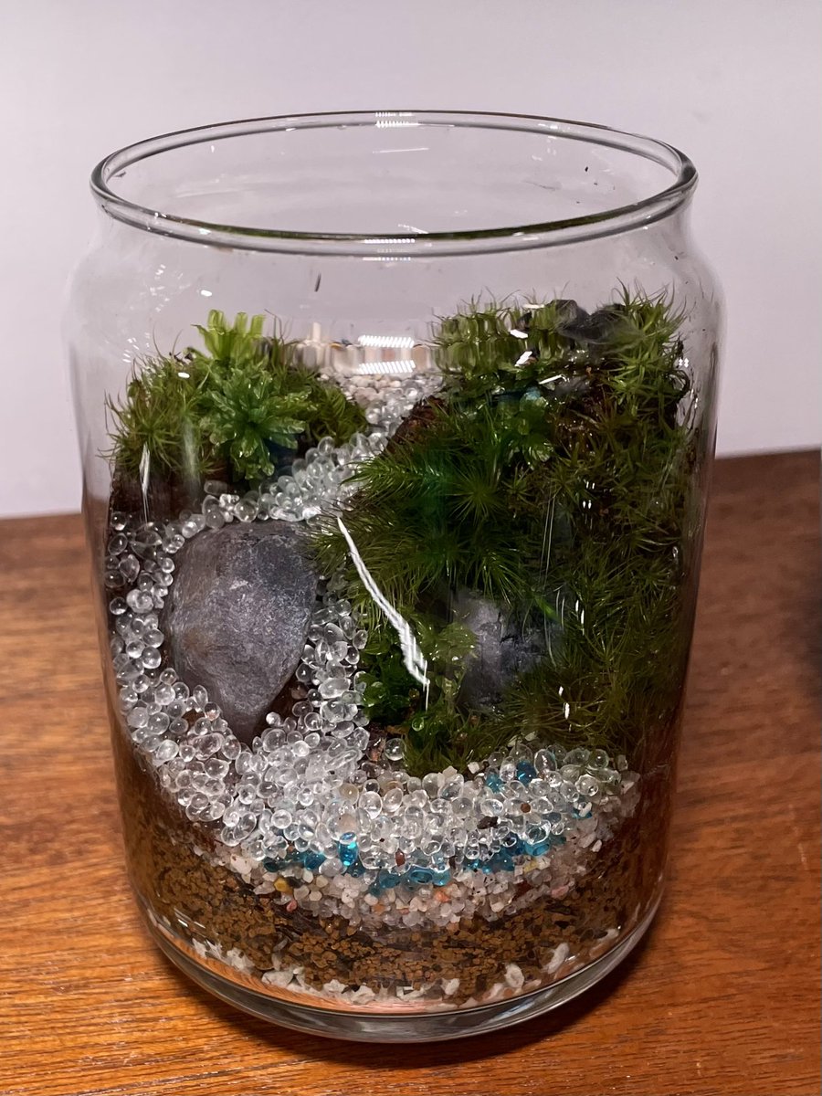 左の写真のテラリウムを作成3分後に倒して崩壊させたので右の写真のテラリウムにリメイクしました…😭