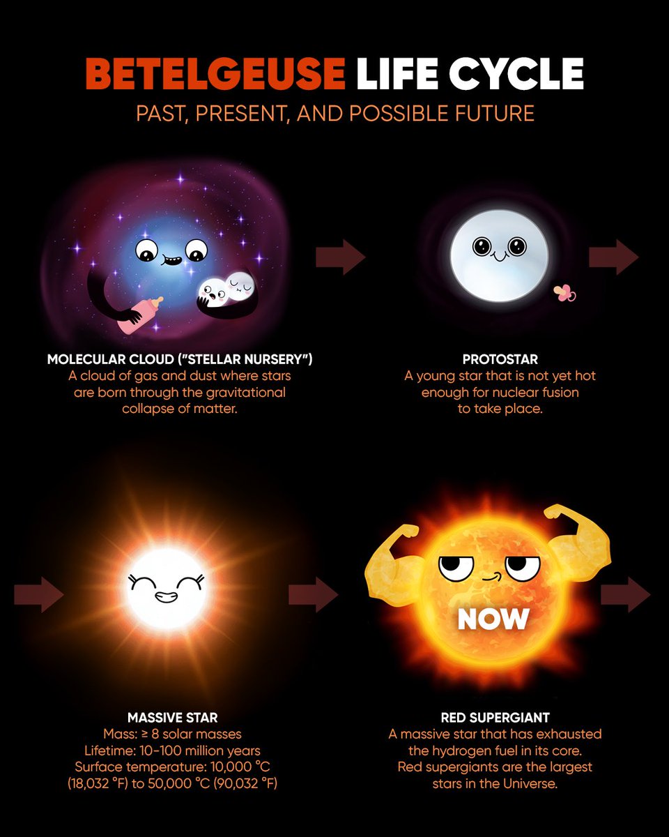 StarWalk's tweet image. 🌟 What Are the Life Stages of a Star?
Let’s take a look at the life of a star — using Betelgeuse as a real-life example!