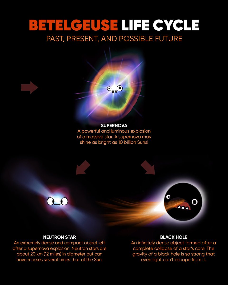 StarWalk's tweet image. 🌟 What Are the Life Stages of a Star?
Let’s take a look at the life of a star — using Betelgeuse as a real-life example!