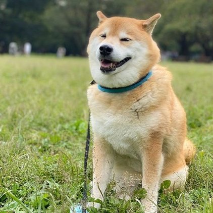 🚀 BTC breaks ATH... and meme season is officially ON.
$MARU brings legacy to the ledger 😍🚀
The OG smiling Shiba with 10+ years of global love 🐶❤️
While others ride waves, Marutaro is the wave.
Don’t fade history.
TG: t.me/marutarocoinCTO

#MARU #BTCATH #BullMarketEnergy