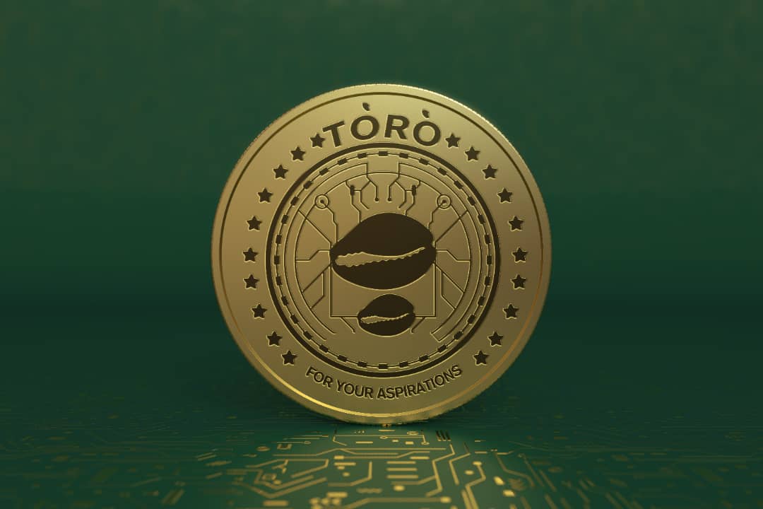 Nobody wants to read a manual to send money. That’s why we built Toronet. 🏌️

GM!

#Makeitsimple