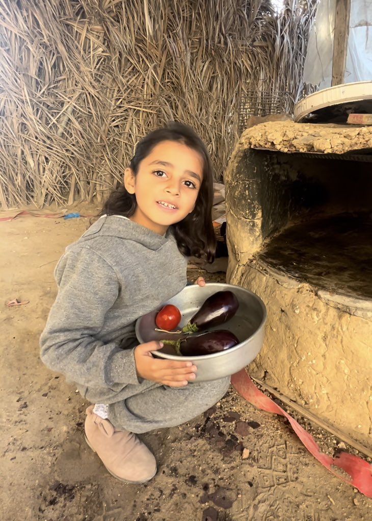 3 replies — even dots — can break the algorithm 🇵🇸
chuffed.org/project/133313