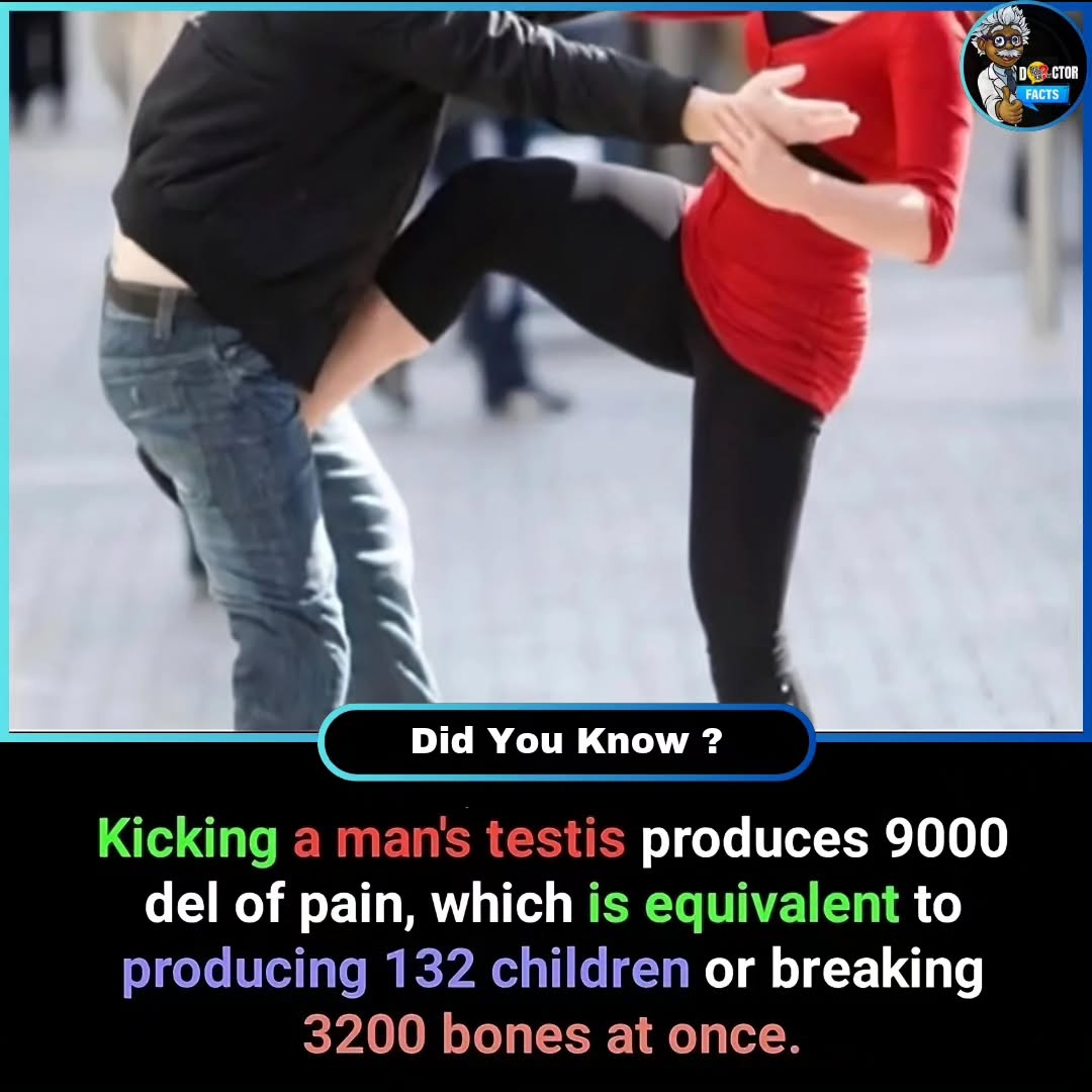 Anniyanonymous's tweet image. Apooo... Every men life la oru 10 times aachum 132 children and 3200 bones odachirpaainga... Damnnn🧑🏻🦽😭
