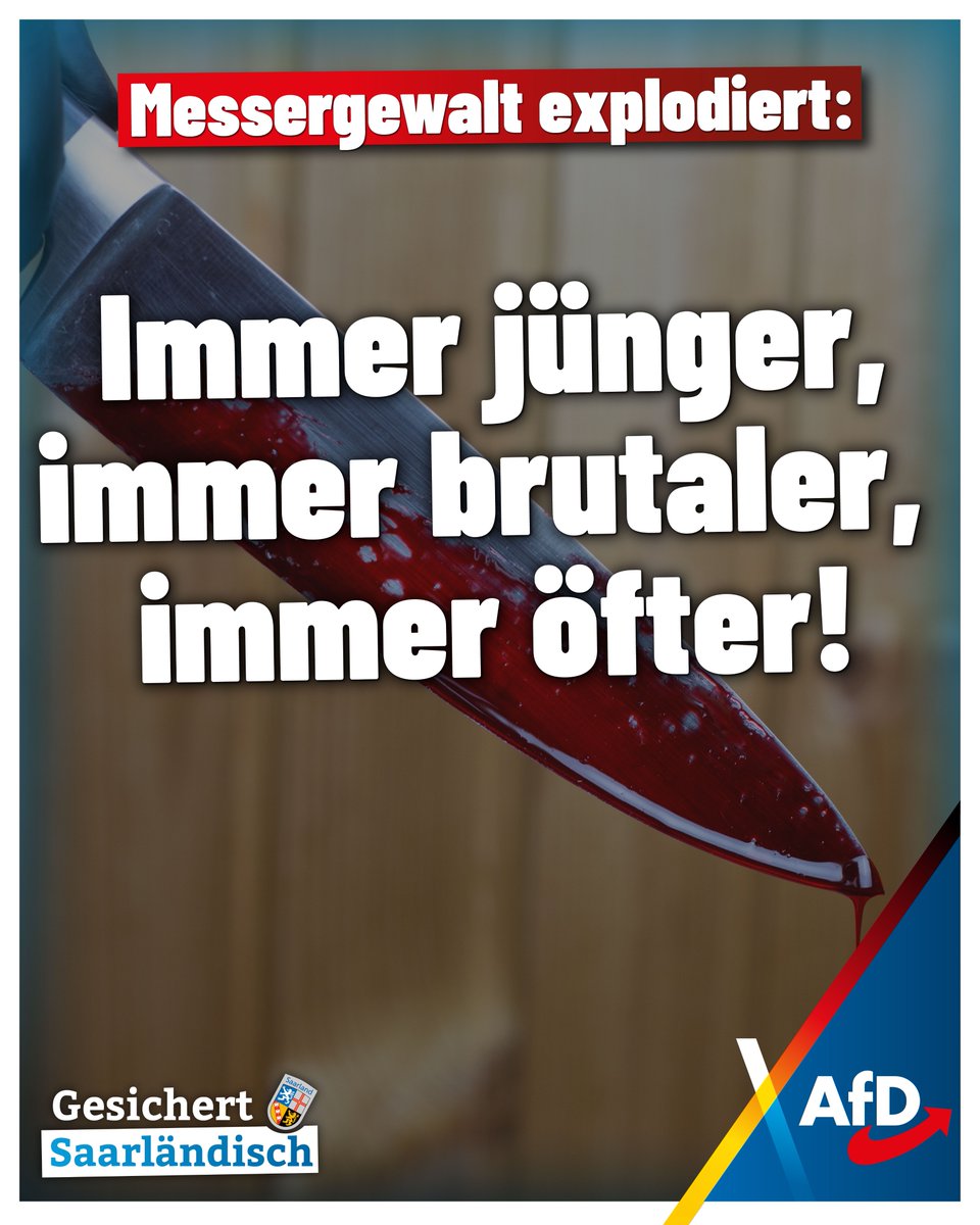 In nur sechs Monaten hat sich die Zahl der Messerangriffe verdoppelt – immer öfter greifen schon Elfjährige zur Klinge. Viele sagen: „Zum Schutz.“ Doch die Realität ist: Straßen voller Angst, Schulen ohne Kontrolle.

Die Hemmschwelle sinkt, weil es kaum Konsequenzen gibt. Selbst