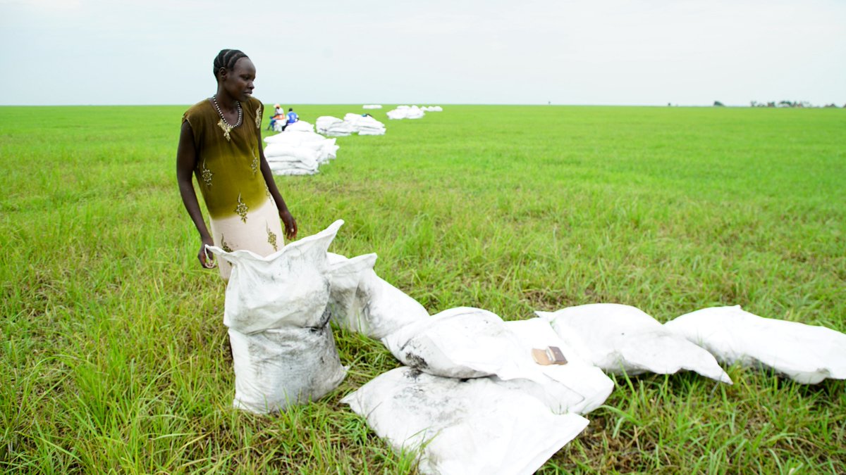 WFP_SouthSudan's tweet image. "We used to cultivate, but the floods destroyed everything. Without assistance, we have no options and nowhere to go."
After months of access constraints, Nyaduoth finally received much-needed food assistance from @WFP in conflict-hit Upper Nile, #SouthSudan