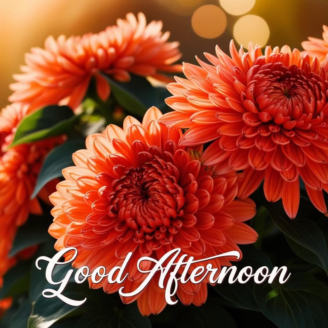 Zoya Hamid (@_0zoi) on Twitter photo بات کرتے ہوئے ۔۔۔  احتیاط سے کام لیا کریں ۔
آپ معافی مانگ سکتے ہیں مگر وہ لفظ واپس نہیں لے سکتے جو آپ کے منہ سے نکل کر ۔۔۔
 اگلے بندے پہ تکلیف بن کر برسے تھے ۔
#PAK_PG بات کرتے ہوئے ۔۔۔  احتیاط سے کام لیا کریں ۔
آپ معافی مانگ سکتے ہیں مگر وہ لفظ واپس نہیں لے سکتے جو آپ کے منہ سے نکل کر ۔۔۔
 اگلے بندے پہ تکلیف بن کر برسے تھے ۔
#PAK_PG