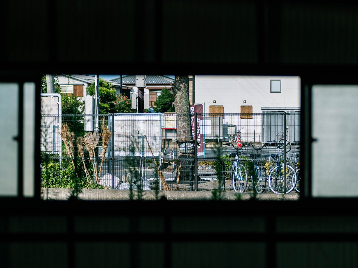 mame_mgo2's tweet image. 