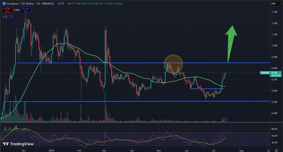 Cardano Nears Resistance Mr. Banana
