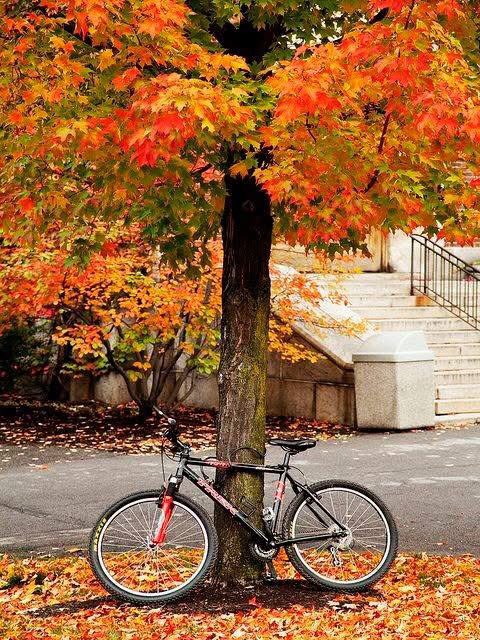 lucia davi (@davlucia) on Twitter photo C’è una vita da vivere,biciclette da inforcare,marciapiedi da passeggiare e tramonti da godere
Buona giornata pedalando!#InCercaDiEquilibrio
#SalaLettura
<a href="/Monica09058845/">Monica 🍀⚘️🌍📚🐞🎧</a>
<a href="/bralella09/">Graziella Bracchi</a>
<a href="/annalisalisi072/">Annalisa Lisi🌷</a>
<a href="/ElisaCuccolo/">ElisaCuccolo 🌹🌊💞🎶📚🐾</a>
<a href="/Franci_OliviaEl/">Francesca Elisa Olivia Angiolini</a> C’è una vita da vivere,biciclette da inforcare,marciapiedi da passeggiare e tramonti da godere
Buona giornata pedalando!#InCercaDiEquilibrio
#SalaLettura
<a href="/Monica09058845/">Monica 🍀⚘️🌍📚🐞🎧</a>
<a href="/bralella09/">Graziella Bracchi</a>
<a href="/annalisalisi072/">Annalisa Lisi🌷</a>
<a href="/ElisaCuccolo/">ElisaCuccolo 🌹🌊💞🎶📚🐾</a>
<a href="/Franci_OliviaEl/">Francesca Elisa Olivia Angiolini</a>