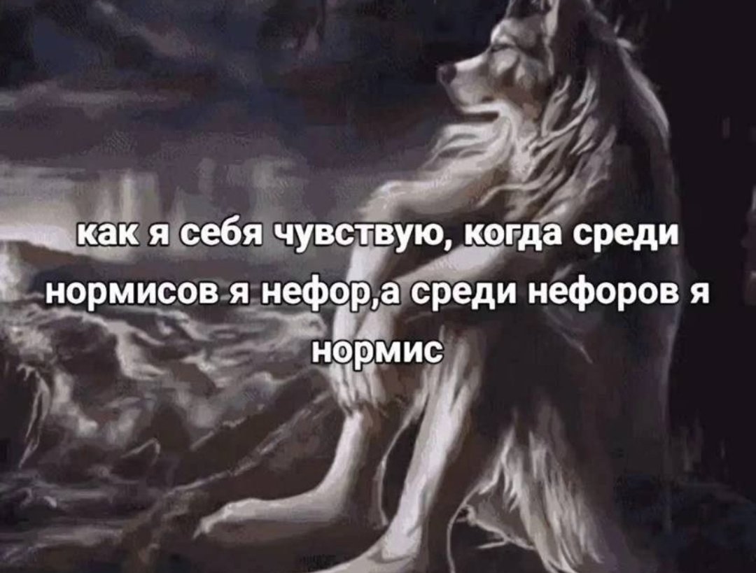 Любой твиттерский: