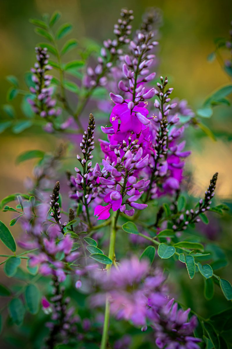 Photographers, Don’t Fear the Winter Lull… Use It to Fuel Your Creative Growth     
Use the winter lull to reconnect with your photography, refine your... neesh.photography/for-photograph…