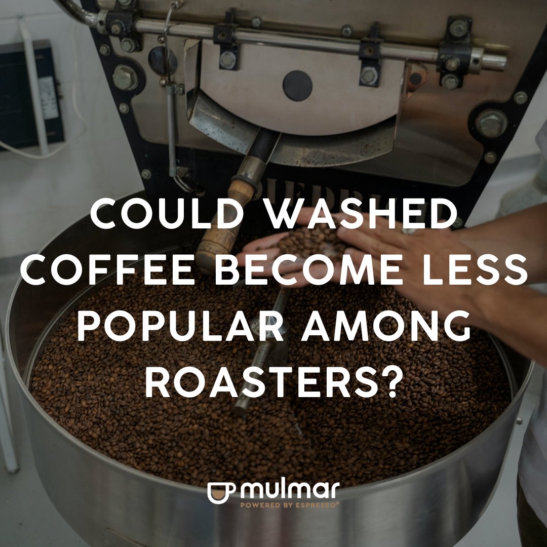 Could washed coffees be on the decline as roasters turn towards funkier flavours?

Perfect Daily Grind says their cost-effective nature means they are here to stay.

Read their full article here: perfectdailygrind.com/2025/07/are-wa…

#WashedCoffee
