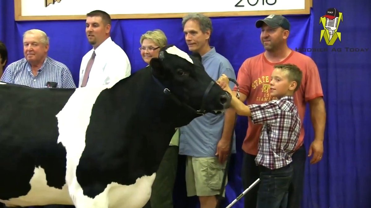 hoosieragtoday's tweet image. LOOKING BACK: Farm Credit Mid-America (@farmcreditmid) is proud to bring you this look back at the Grand Drive at the 2018 @IndyStateFair and Hoosier Ag Today’s interviews with the Grand Champions!
@PurdueExtension @Indiana4h
WATCH THE VIDEO: youtube.com/watch?v=MfG5FR…