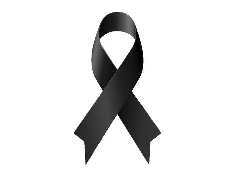 El nostre condol a la família, amics i companys de consistori de la regidora d’educació de la Selva del Camp, Judit Fontanillas.
Descansi en pau.