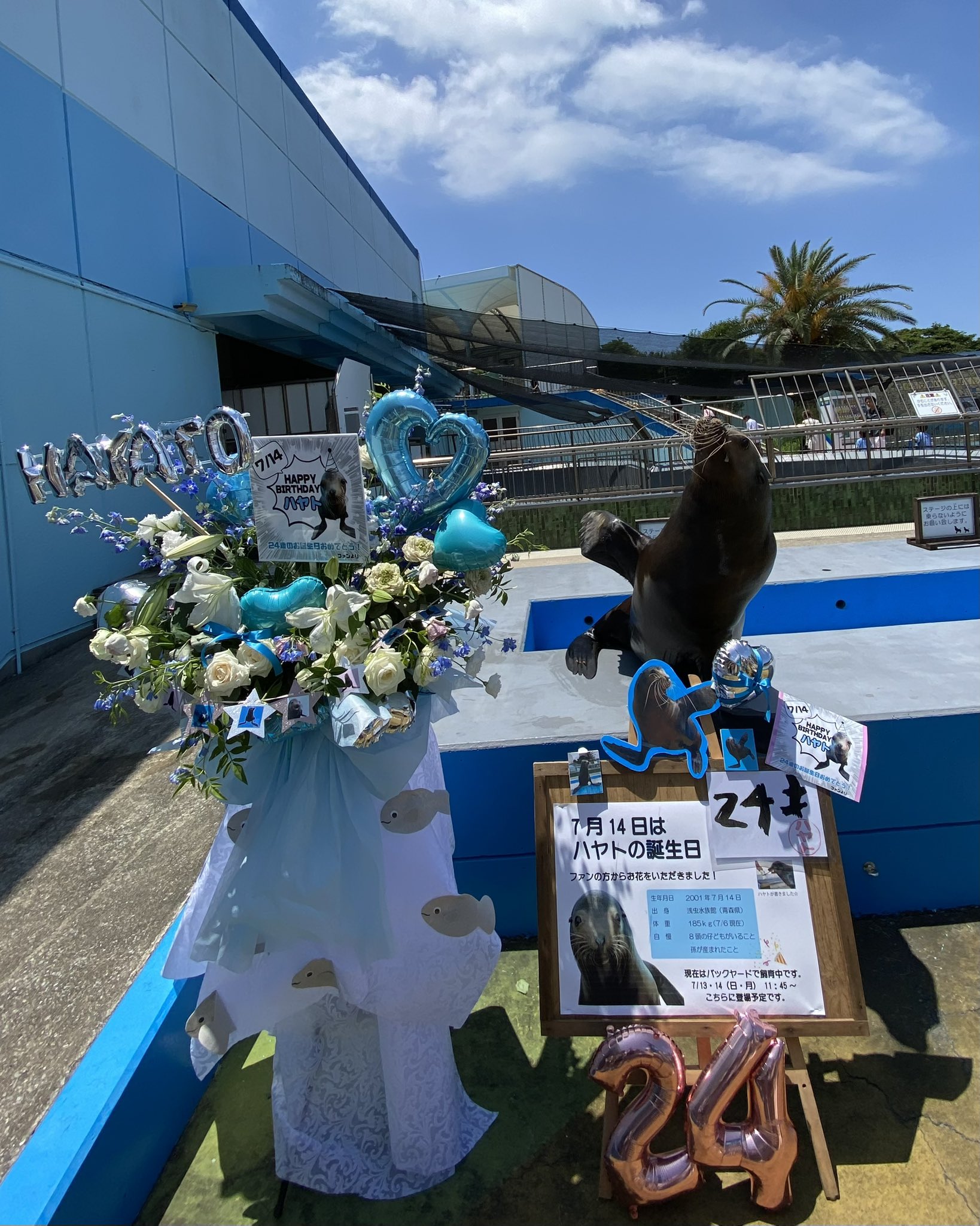 記念メダル0504L38●南知多ビーチランド Ｂ 9698.jpg?w=670&h=400