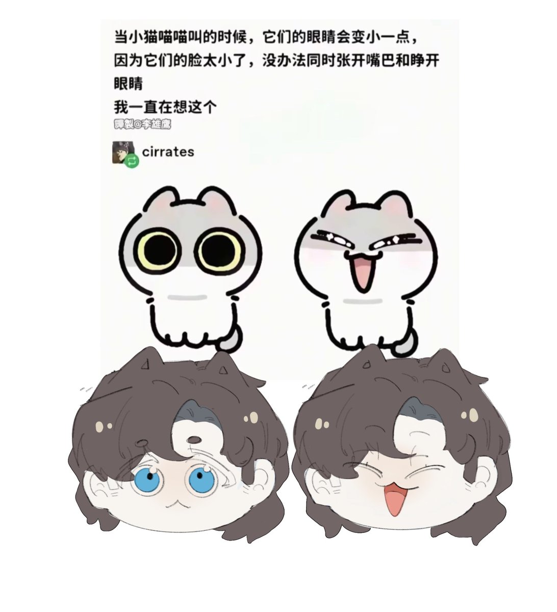 folifish's tweet image. “When kittens meow, their eyes get a little smaller because their faces are so small that they can't open their mouths and eyes at the same time.”
so i draw it
#xmen #charlesxavier