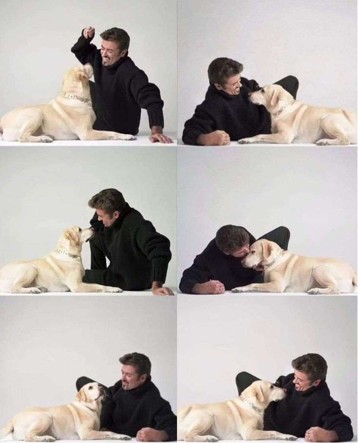 apreciousbox's tweet image. george michael with his dog hippy (1998)🤍