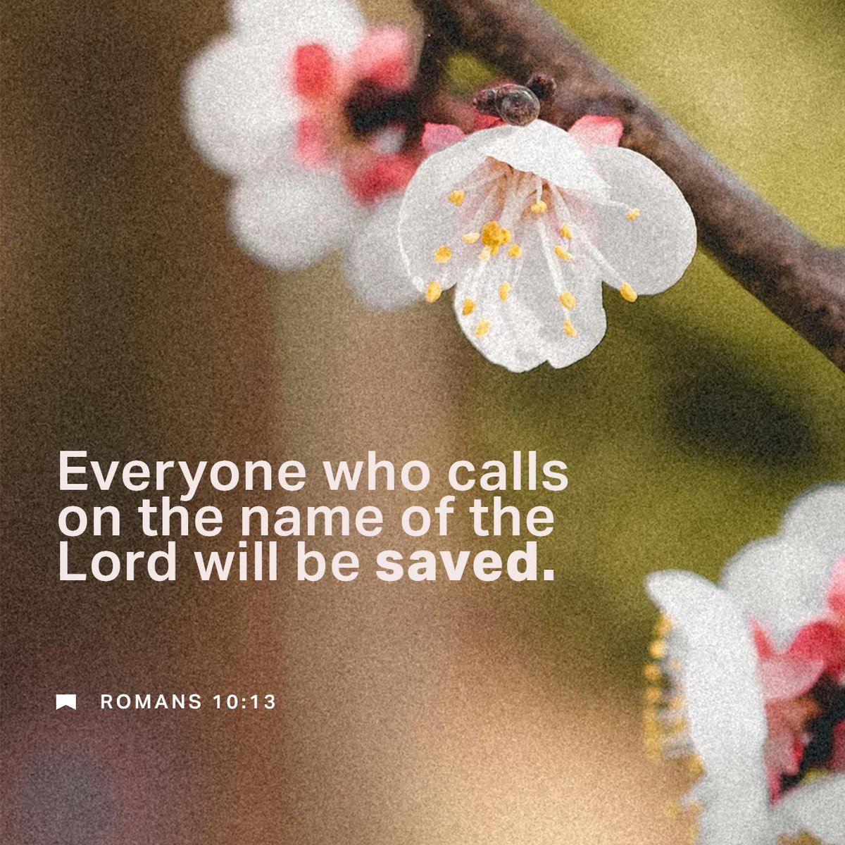 Romans 10:13