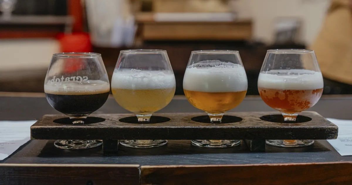 La cerveza que nace del bosque – El Financiero elfinanciero.com.mx/bloomberg-busi…