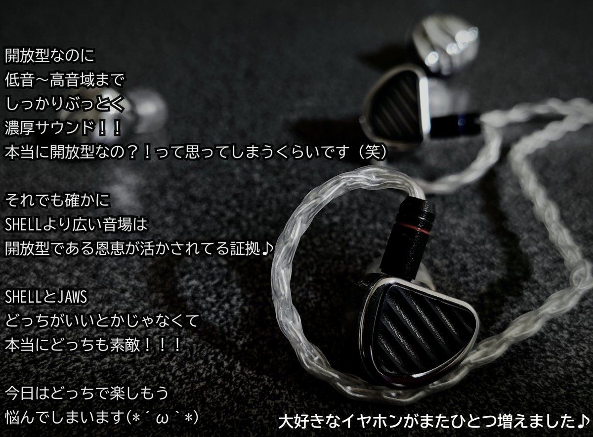 Amazon.co.jp: TRN SHELL 贝壳 モニターイヤホン 3DD+ 平面駆動