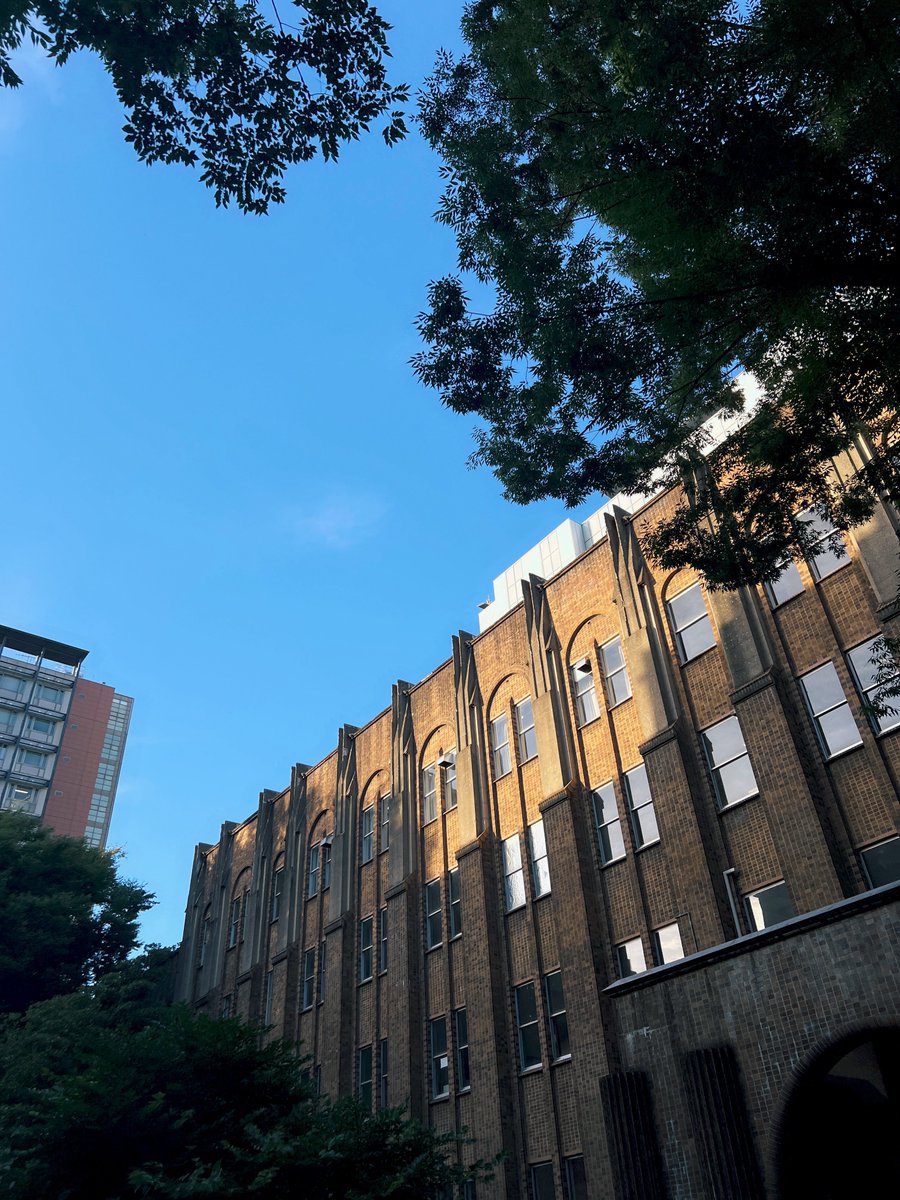 この明暗のつきかたすごく夏の夕暮れって感じする