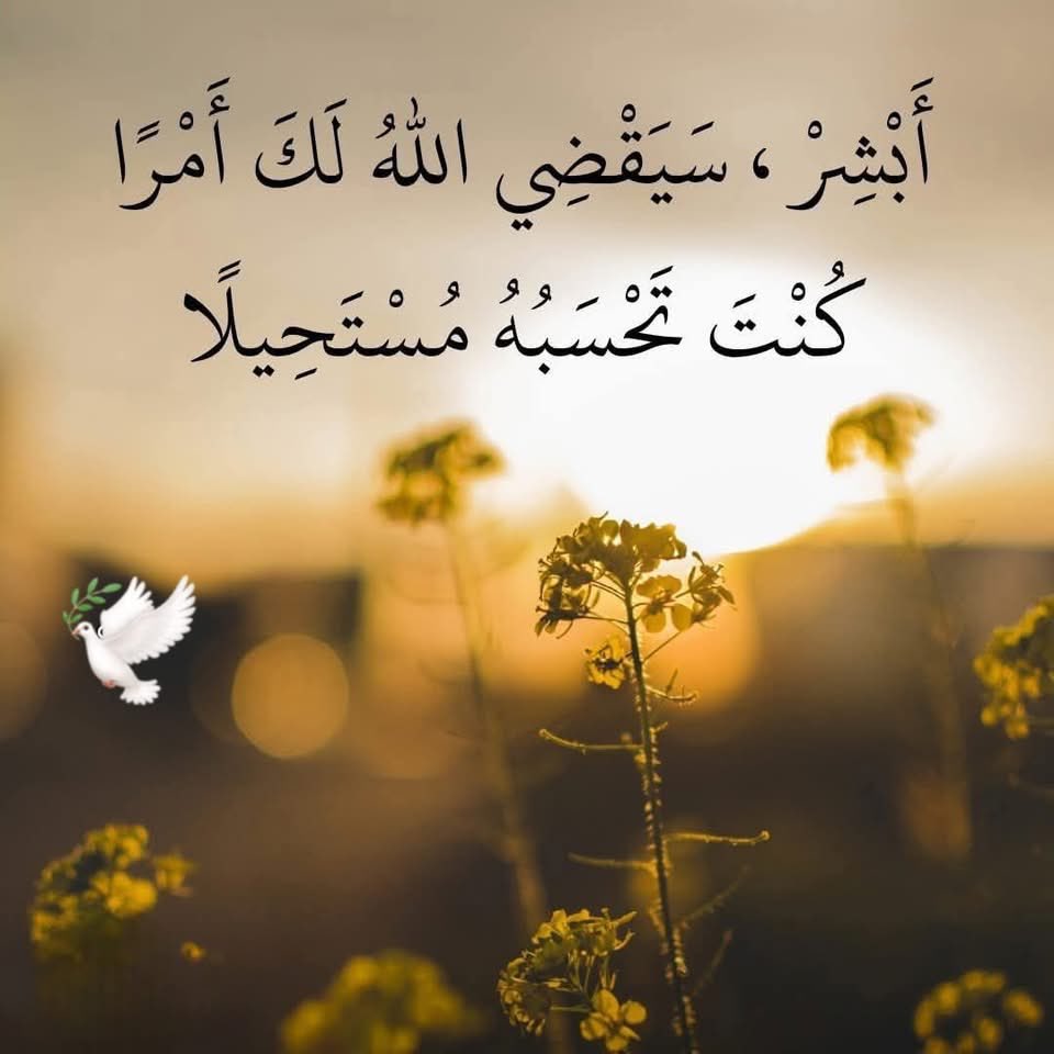 Hosam Ashraf (@hosamashra93385) on Twitter photo صلوا على الحبيب ﴿םבםב ﷺ﴾💐
ونقول #بدايـــــــــهہ
؏ /001 🐣 <a href="/s__j0000/">🔥Hosam Ashraf🐣</a>
#نشط_الآن 🔥🔥
دروبكم توافيق وفألكم سمااا ✈️🚀 صلوا على الحبيب ﴿םבםב ﷺ﴾💐
ونقول #بدايـــــــــهہ
؏ /001 🐣 <a href="/s__j0000/">🔥Hosam Ashraf🐣</a>
#نشط_الآن 🔥🔥
دروبكم توافيق وفألكم سمااا ✈️🚀