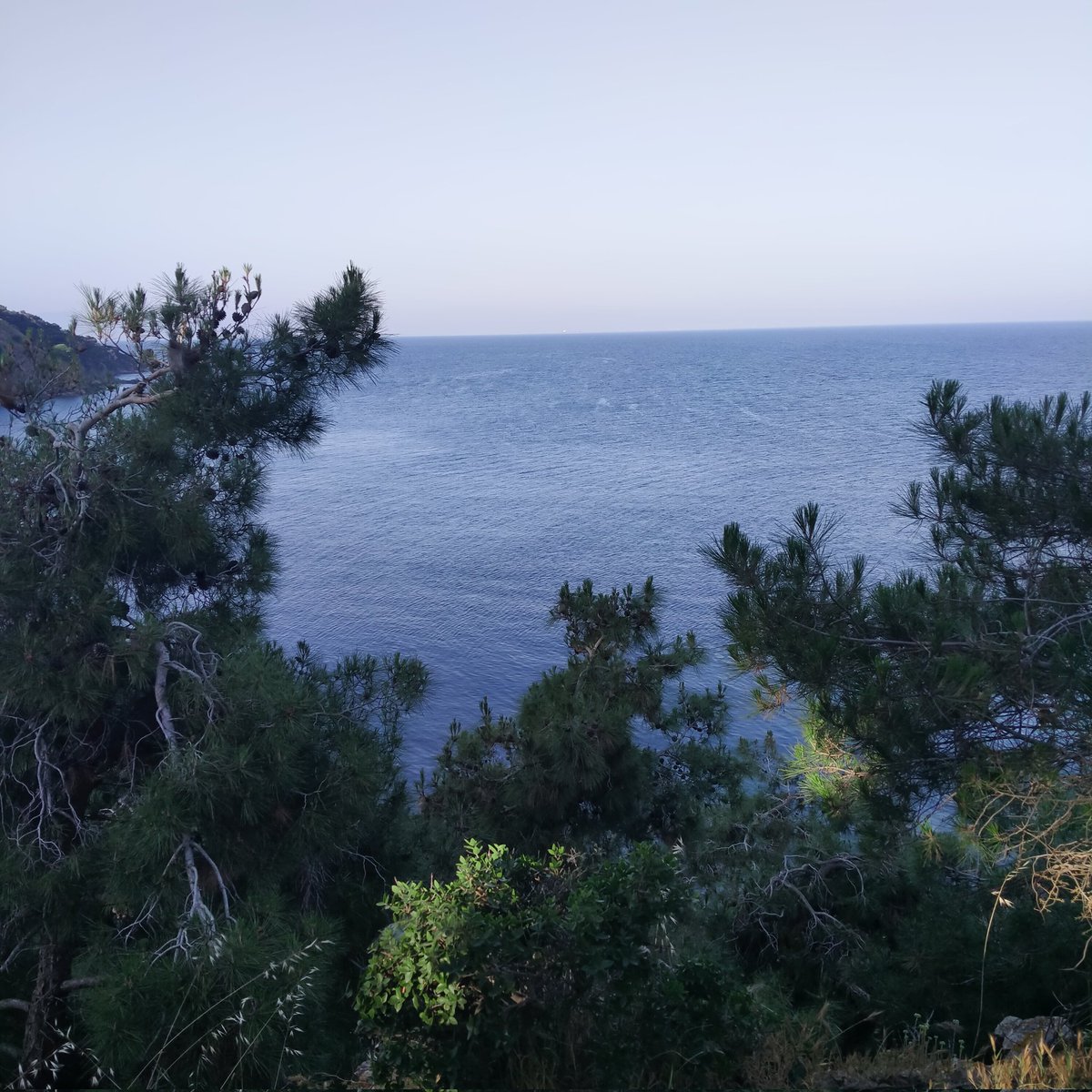 Yaşanan hiçbir acı, tanınan hiçbir insan, gidilen hiçbir sehir, ezberlenen hiçbir sarkı, gülümser gözle bakılan hiçbir an, hiçbir hata ve hiçbir sevgi boşuna
yaşanmamıştır. 
Vakti gelince mutlaka bir anlam ifade eder. 
insan yolculuktur...