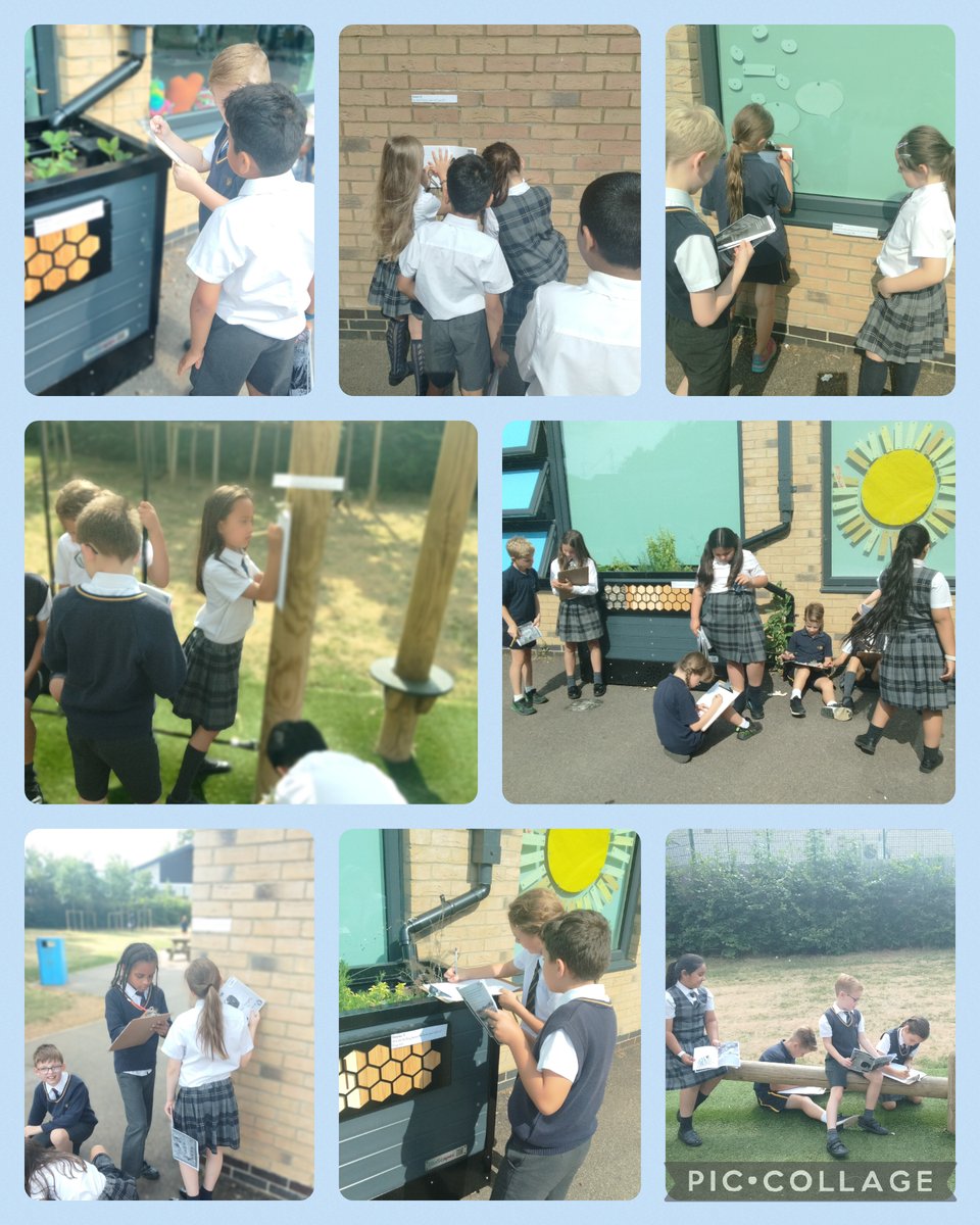 3NP have enjoyed a scavenger style guided reading session this morning where we explored the final chapters of 'The Talking Bird.'