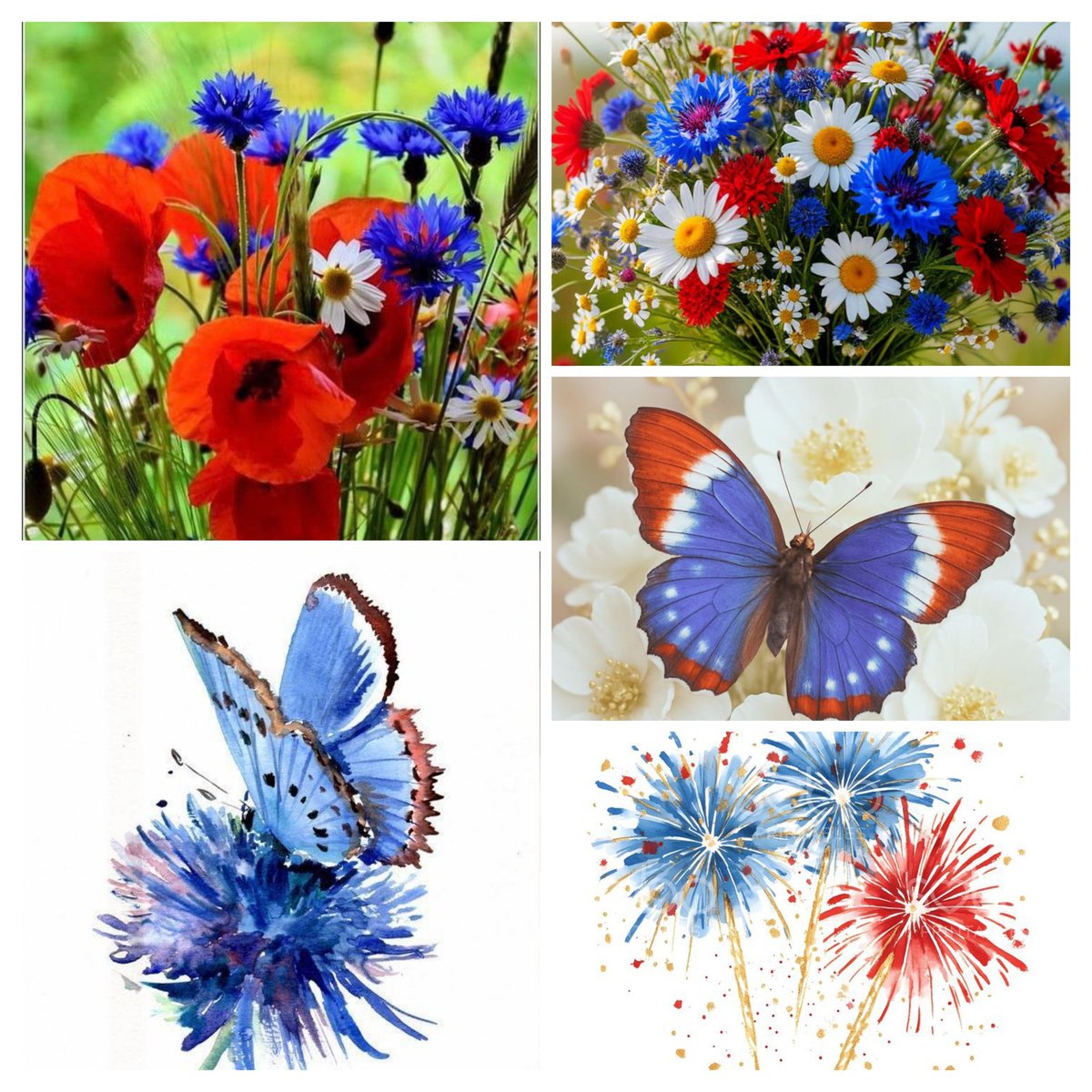 100 ans du Bleuet de France, symbole de mémoire et de solidarité 💙🤍❤️
Entre devoir de mémoire et gratitude, ces dates nous rappellent l’importance de ne jamais oublier le passé,pour construire un avenir en paix et uni. Belle journée en ce 14 juillet. 😘