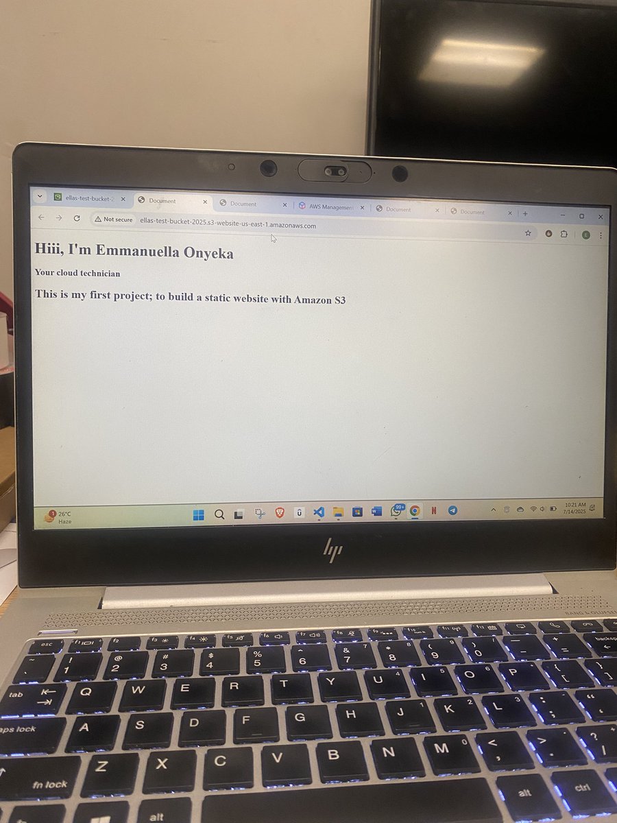 First project done.
The simplest website you’ll ever see😌
