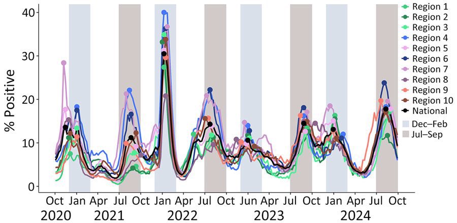 „Die CDC hat erklärt, dass COVID nun einem halbjährlichen Muster folgt, mit typischen Spitzenwerten im Spätsommer (Juli bis September) und im Winter (Dezember bis Februar). Da wir nun ein halbjährliches Muster von COVID-Wellen haben und weil wir wissen, dass die Immunität …