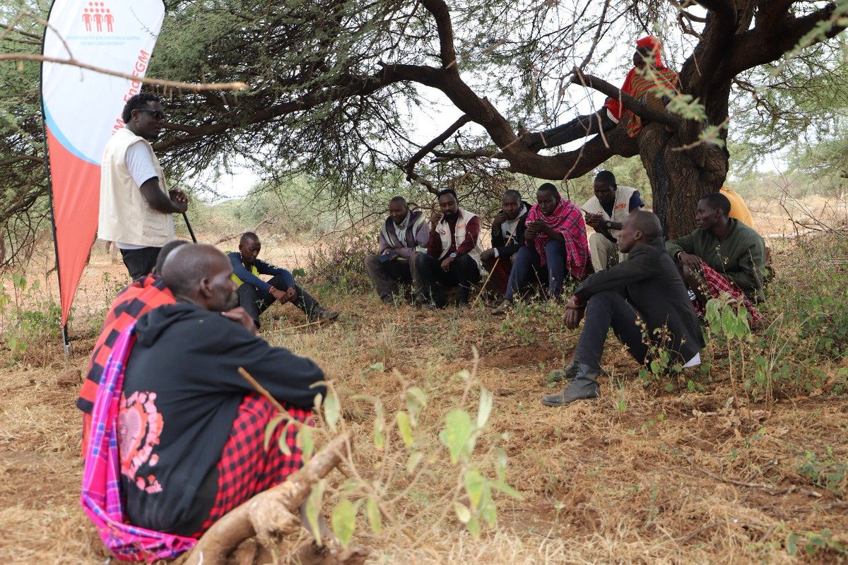 PC Kemei tweet media