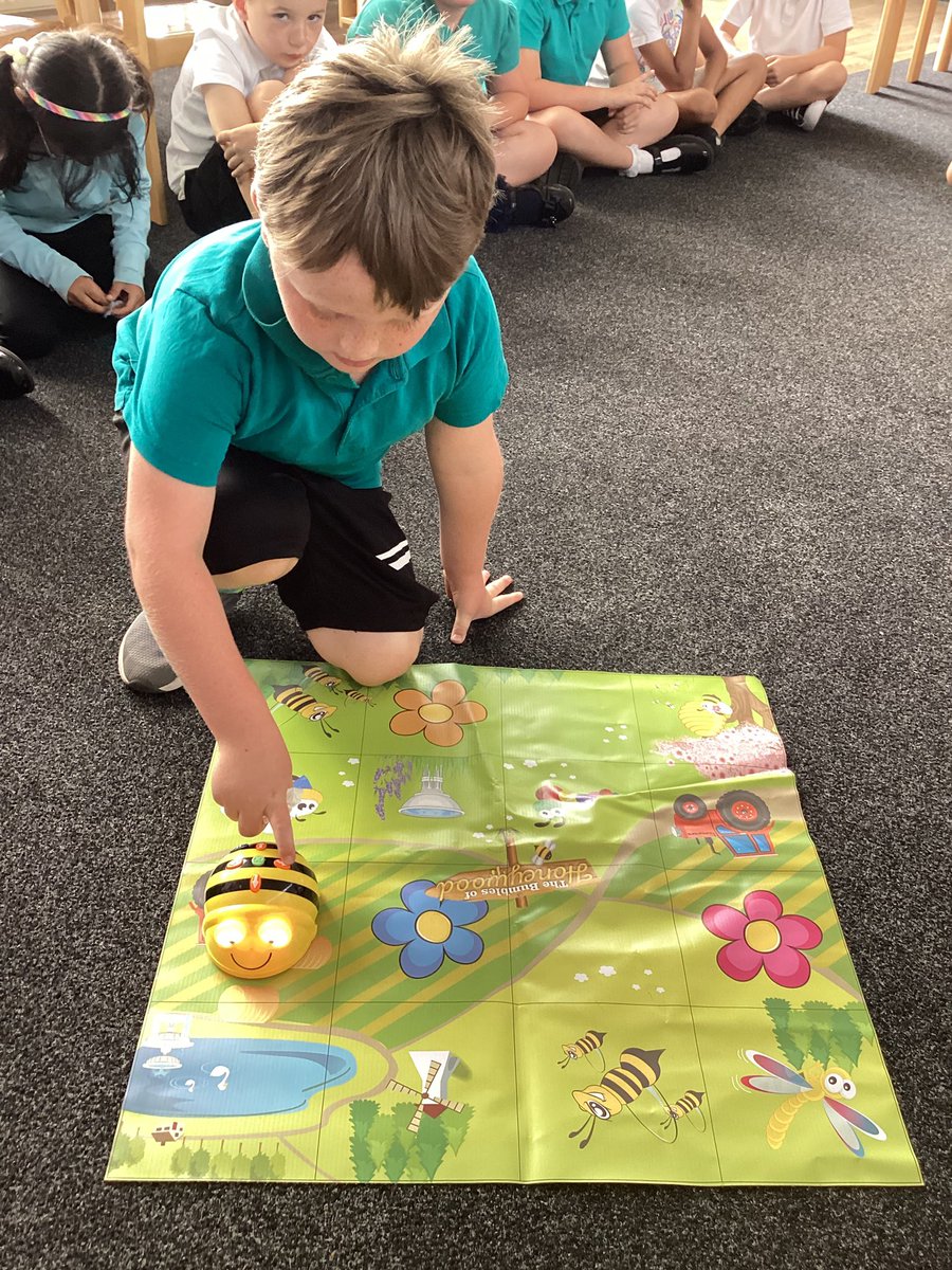 Sunflower class have been creating an algorithm for Scaredy Squirrel #mpssunflower