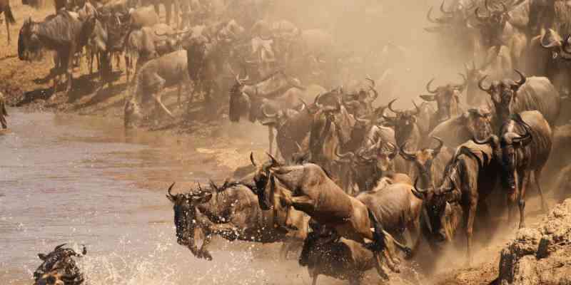 Is tourism in Tanzania and Rwanda gaining ground on Kenya?
atqnews.com/africa-is-tour…