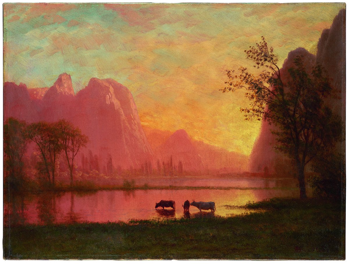 NuriaRecheTello's tweet image. Terrafilia: conexión profunda de afecto, cuidado y responsabilidad hacia la Tierra y sus innumerables habitantes 🎑
ethic.es/galerias/terra…