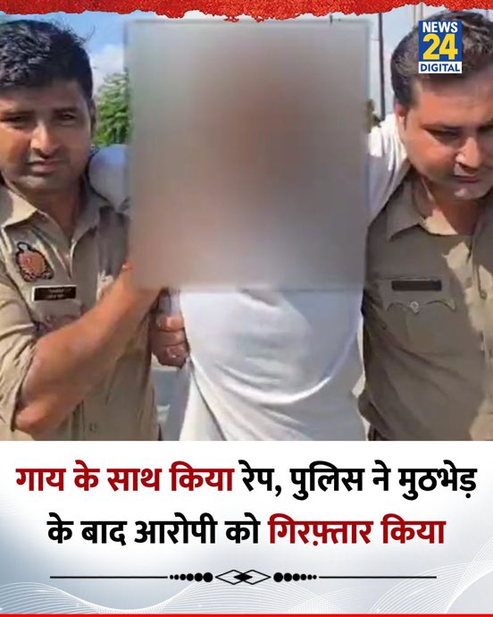 गाय के साथ किया रेप, पुलिस ने आरोपी को पकड़ा।।