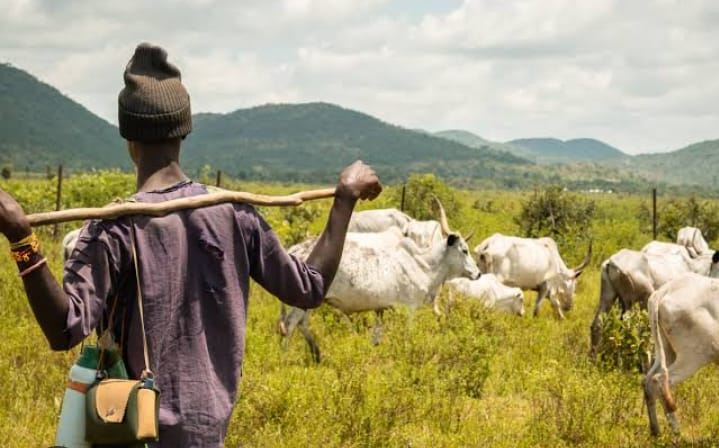 🌿 Why Habitat Conservation Matters Now More Than Ever — a gripping story by a WACI volunteer that urges us to protect the places that make life possible.

🧵 Read it 👉 [v4w.wildlifeofafrica.com/story/14]
https://v4w.wildlifeofafrica.c... v4w.wildlifeofafrica.com