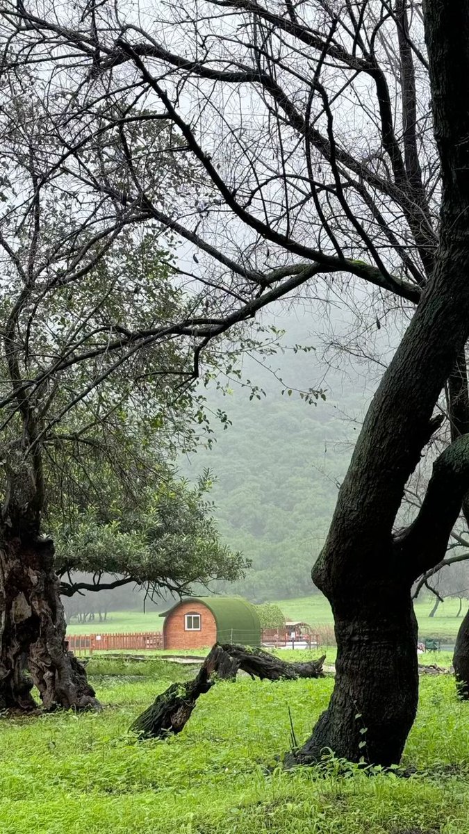 دائمًا اترك المكان أنظف مما وجدته، فالنظافة تعكس احترامك لنفسك وللآخرين. التفاصيل الصغيرة تصنع فرقًا كبيرًا.

#خريف_ظفار2025
#خريف_ظفار
#ظفار
#عمان_للجمال_عنوان
#عرض_صلالة_للشقق