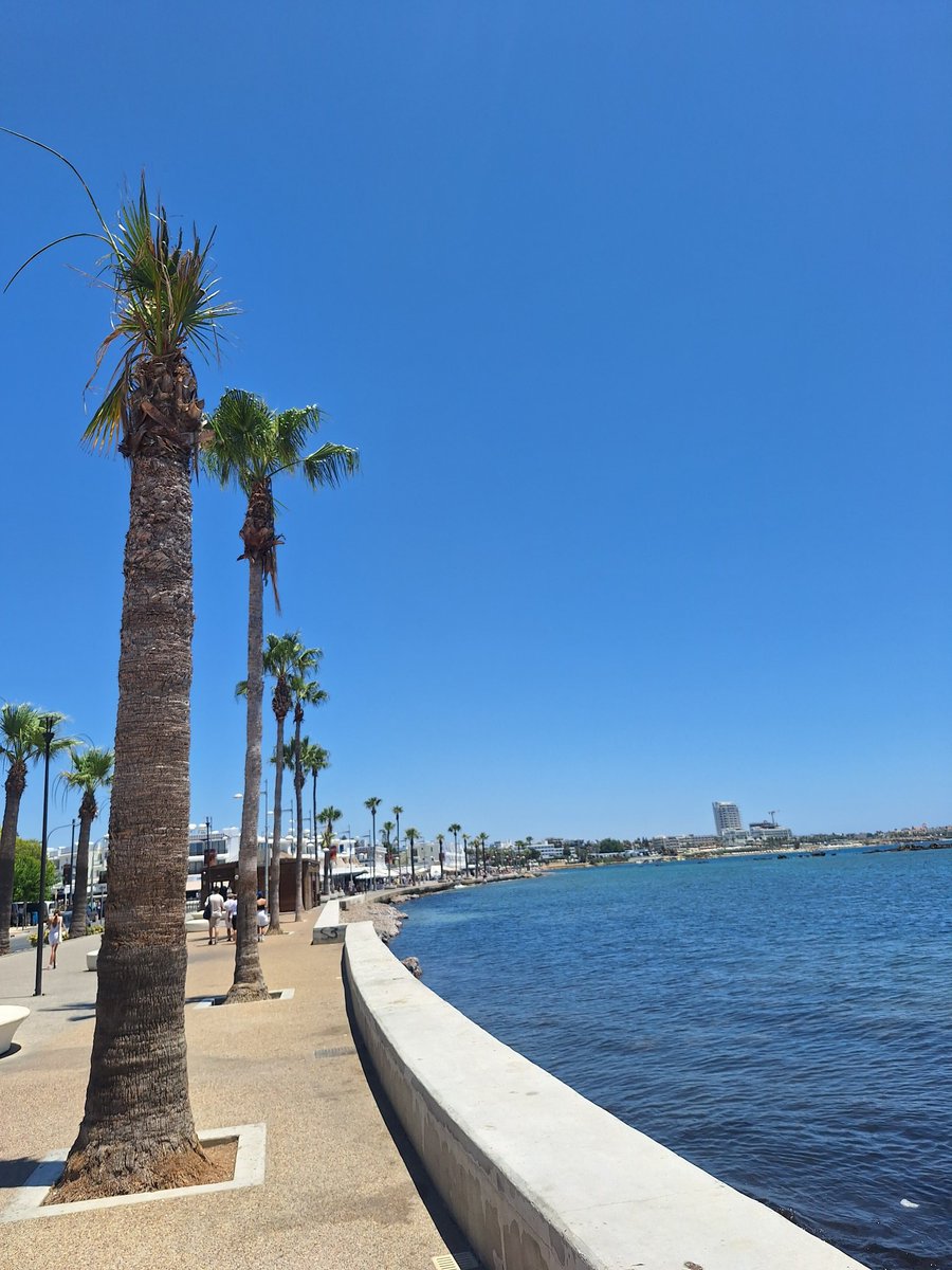CyprusPassion's tweet image. Greetings from the serenity of #Paphos port! 💙🌴🇨🇾