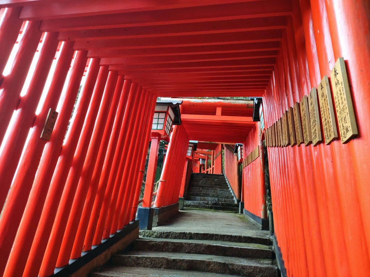 boardgame_yowai's tweet image. 【 #津和野町 】
・ #太皷谷稲成神社 
・ #津和野城跡 
・ #乙女峠マリア聖堂 

山口を越え、ステージは #島根県 まで……!!

(5/8)
