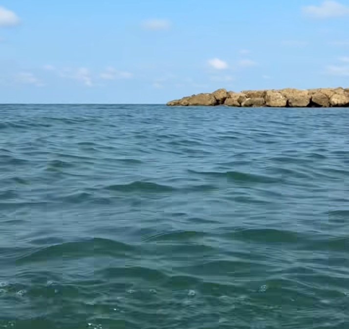 AcaralSevgi's tweet image. İyilik benim kendime olan inancım, yoksa ben de biliyorum kimsenin buna değmeyeceğini.
🏖🌊