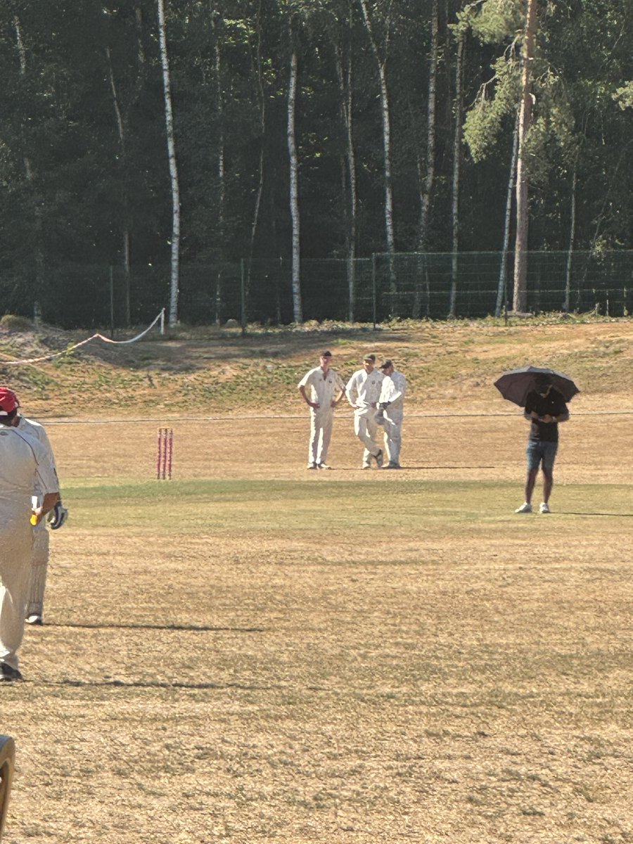 Crowthorne and Crown Wood CC tweet media